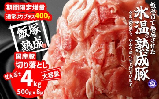 【飯塚熟成豚】国産豚切落し4.0kg（500gｘ
