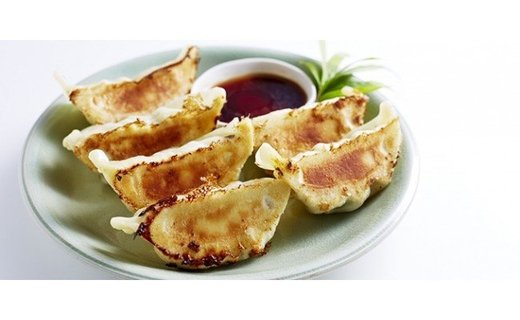 C001-21 プレミアム冷凍餃子120個（SAIBOKU×ぎょうざの満洲）