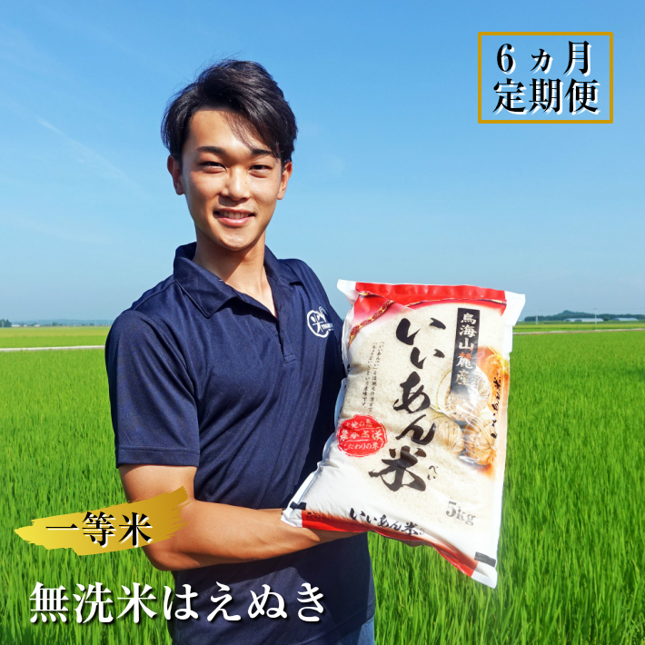 ≪定期便≫ 一等米 無洗米 はえぬき 5kg×6