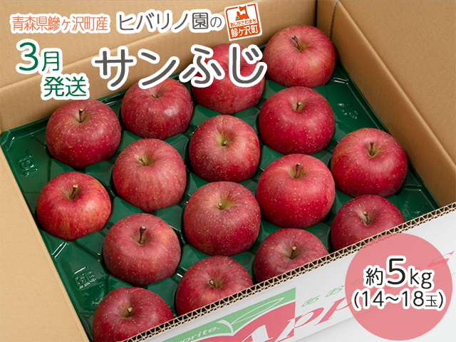【3月発送】ヒバリノ園のサンふじ 約4~5kg(
