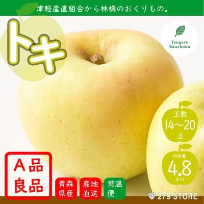 A品 トキ 4.8kg(14~20玉) 津軽産直