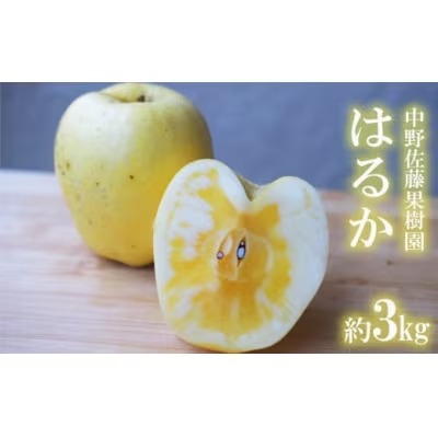 中野/佐藤果樹園 【限定30箱】蜜入りりんご「は