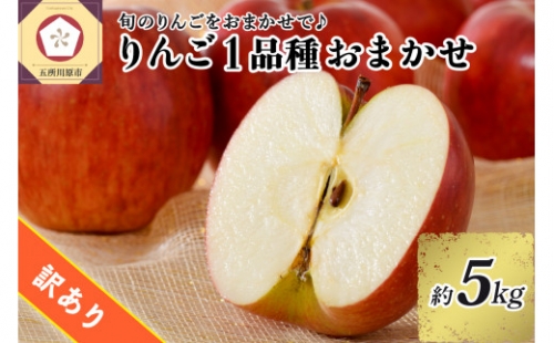 ※選べる 配送時期※ 【訳あり】旬の美味しいりん