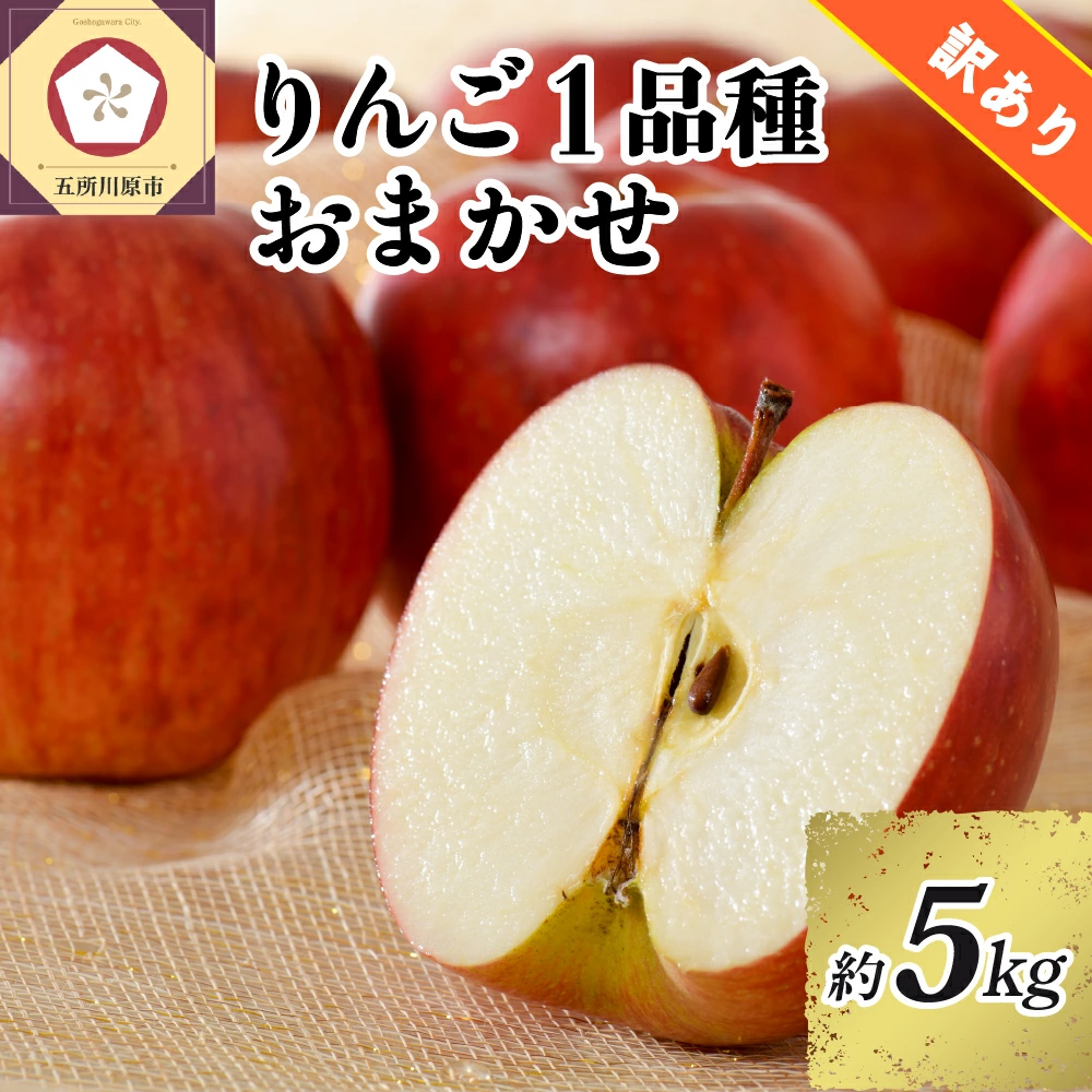 ※選べる配送時期※ 訳あり 旬の美味しい りんご