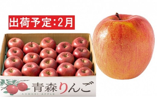2月 訳あり 家庭用 濃厚サンふじ 約5kg 糖