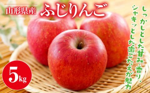 FYN9-385 【数量限定】《先行予約》山形県