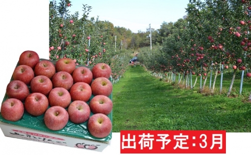 3月 サンふじ約5kg・秀品【大江町産・山形りん