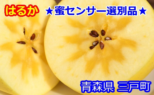 高級りんご「はるか」8~12玉 約3kg★蜜セン