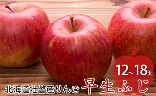 <2021年10月中旬よりお届け>北海道壮瞥町