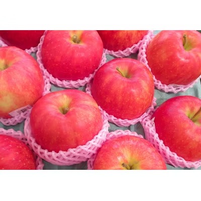 山形県産 蜜入りんご高徳<秀品> 3kg
