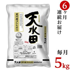 米 定期便 5kg 6ヶ月 令和4年 白米