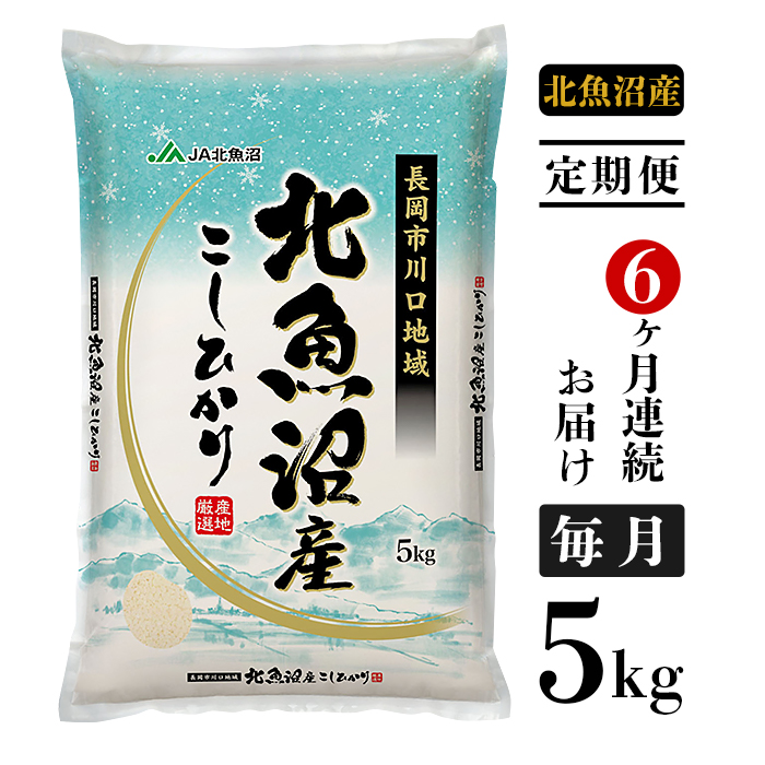 米 定期便 5kg 6ヶ月 白米 コシヒカリ