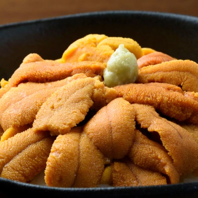 北海道利尻島産 塩水生うに(バフンウニ)100g×2パック [No5888-0536] | お礼品詳細 | ふるさと納税なら「さとふる」 