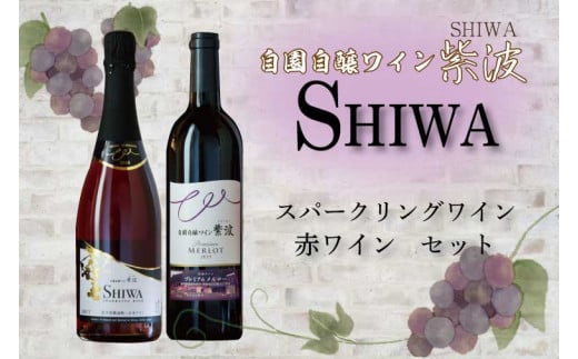 スパークリングワイン・赤ワインセット【自園自醸ワ