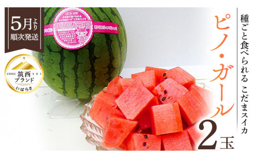 タネが気にならないこだまスイカ ピノ・ガール2玉