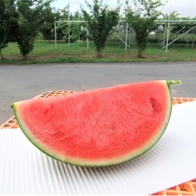 小玉すいか　2個