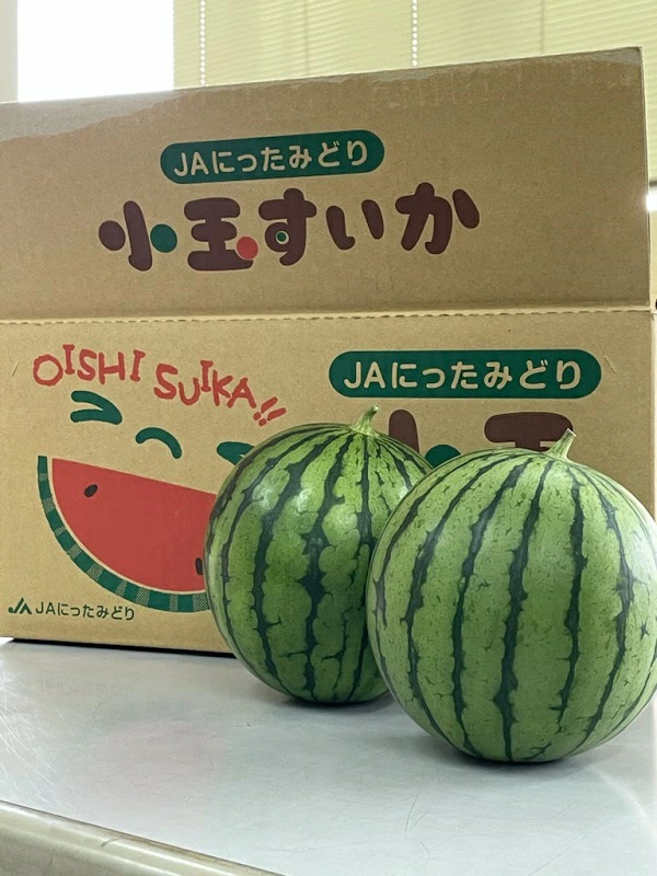 小玉すいか5玉