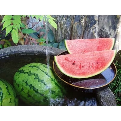 八色原すいか小玉4玉