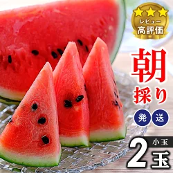 小玉スイカ（赤）