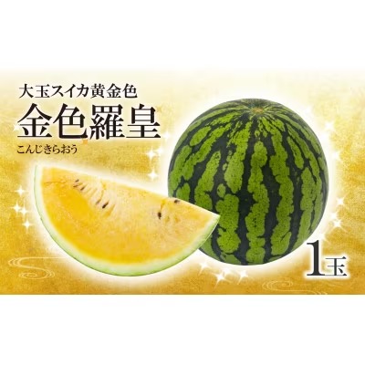 大玉スイカ 黄金色 金色羅皇 1玉