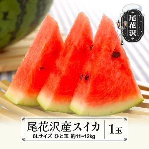 尾花沢産スイカ6Lサイズ(約11～12kg)×1玉