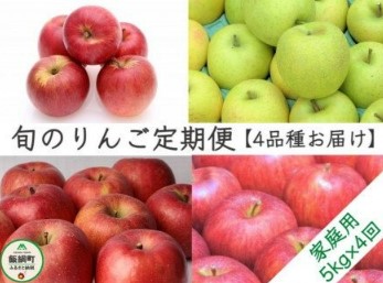 【令和4年度収穫分】旬のりんご定期便 家庭用5k