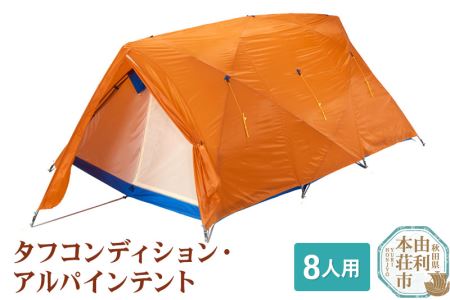 DUNLOP タフコンディション・アルパインテン