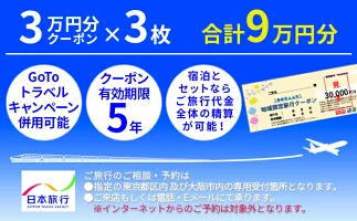 日本旅行 地域限定旅行クーポン 90,000円分