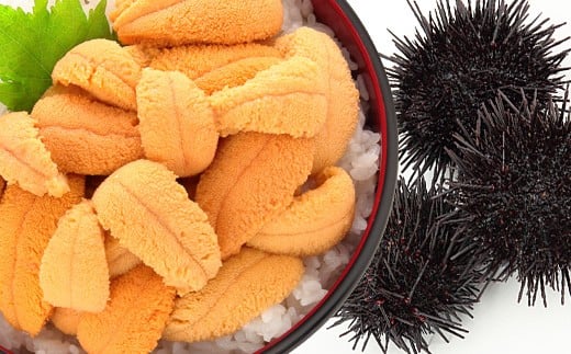 ムラサキウニ塩水パック80～90g×2P