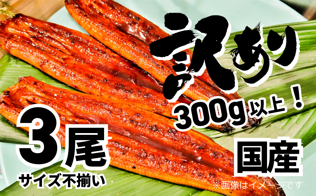 【訳あり】さかい河岸水産の国産うなぎ３尾