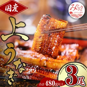 国産うなぎ蒲焼3尾(計480g) 鰻蒲焼 ウナギ蒲焼用たれ さんしょうのセット(うなぎ1尾160g以上の鰻3尾からなるウナギの詰め合わせ)