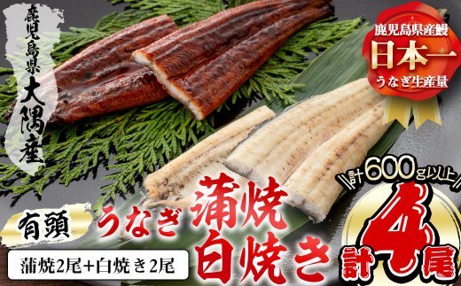 楠田の極うなぎ 蒲焼き2尾・白焼き2尾 150g以上×4尾(計600g以上)