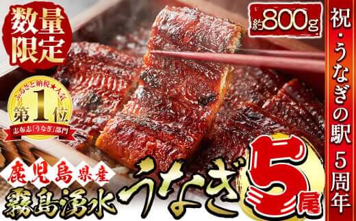【お礼の品人気No1】霧島湧水鰻の蒲焼き 160g以上×5尾＜計800g以上＞