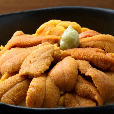 北海道利尻島産 塩水生うに(バフンウニ)100g×2パック [No5888-0536]