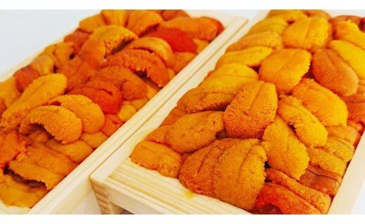 【期間限定】＜網走産＞生エゾばふんうに 冷蔵100g×2折【2022年3月から発送】