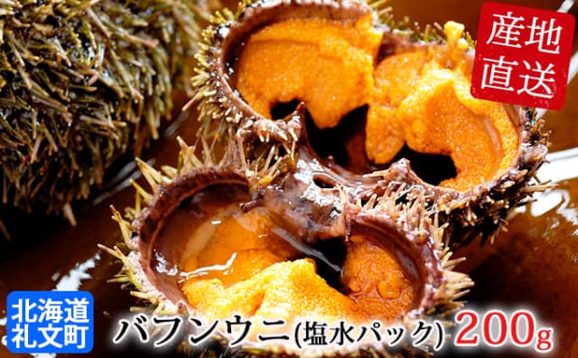 【先行予約2022年6月発送】北海道礼文島産 採れたてバフンウニ（塩水パック）100g×2