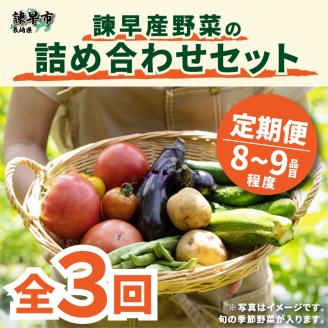 『定期便』諫早産野菜の詰め合わせ(8から9品目程