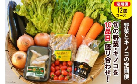 野菜とキノコの定期便 12回【毎月コース】 旬の