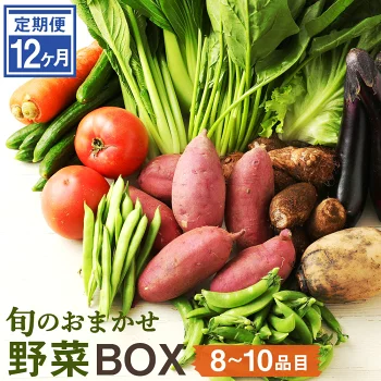 【12ヶ月 定期便】旬のおまかせ野菜BOX 旬 