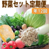 定期便 旬の新鮮野菜セットA【毎月お届け12回】