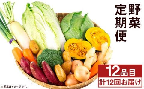 【旬の野菜定期便12回】旬の野菜 12品 12ヶ