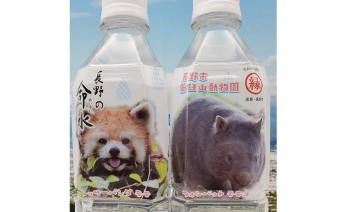 長野の命水（茶臼山動物園ラベル）500ml×24