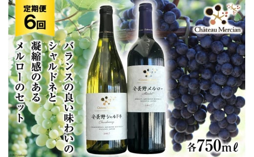 【6回定期便】安曇野 赤白ワインセット 各750